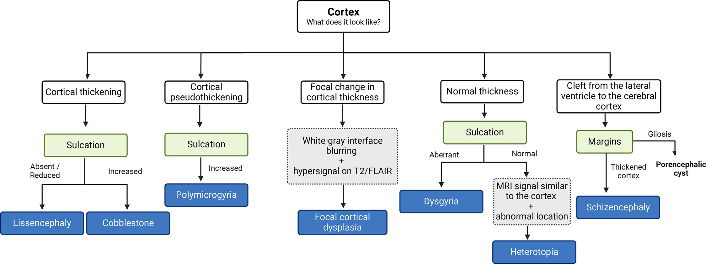 Flowchart showing cortical MRI pattern recognition: cortical thickening → lissencephaly or cobblestone; pseudothickening → polymicrogyria; focal changes → FCD; cleft → schizencephaly